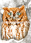 Painting Rusty owl