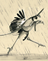 Ink illustration secretary bird